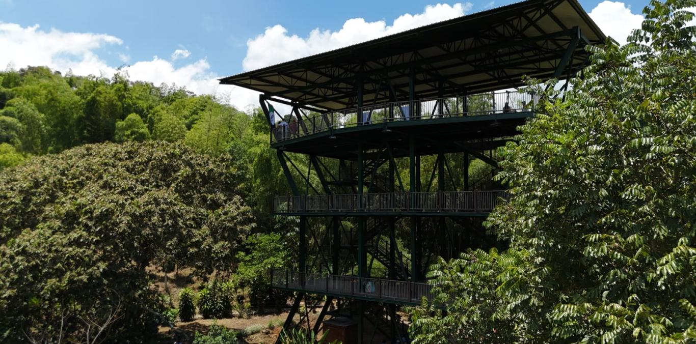 EL TURISMO DE NATURALEZA SE FORTALECE EN EL VALLE CON EL NUEVO CENTRO DE EDUCACIÓN AMBIENTAL LAS HELICONIAS