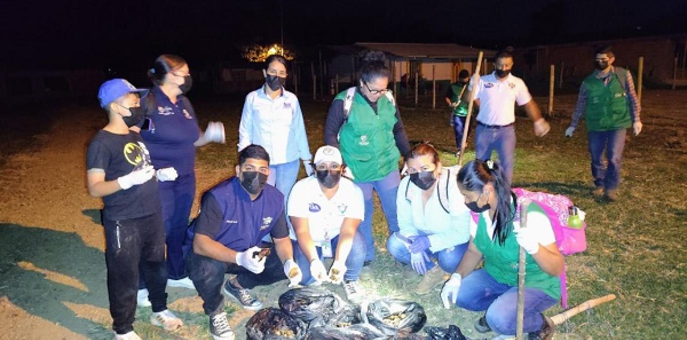 TEMPORADA DE LLUVIAS INCREMENTA LA PROLIFERACIÓN DEL CARACOL AFRICANO