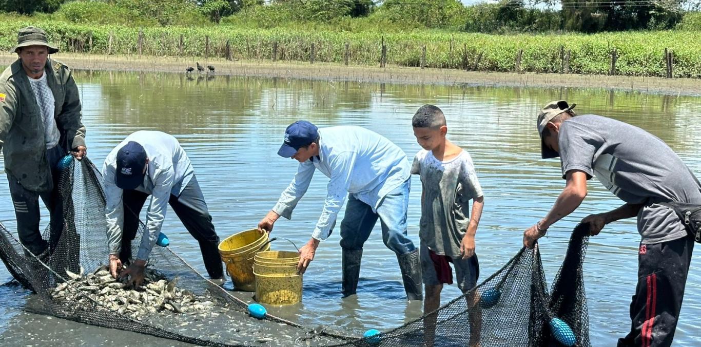 LA CVC Y LA COMUNIDAD DE EL SALTO UNEN ESFUERZOS PARA EL TRASLADO DE PECES