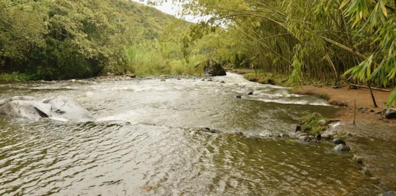 CVC NO PERMITIRÁ NINGÚN DAÑO AMBIENTAL EN PANCE