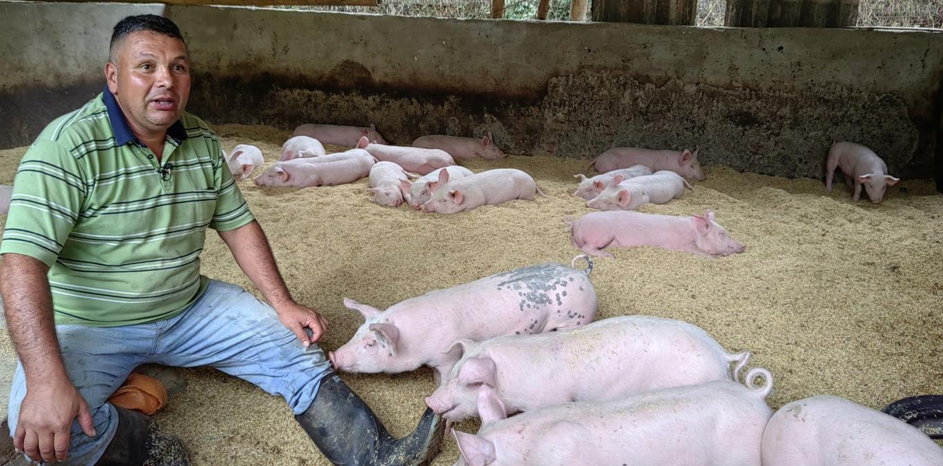 CAMPESINO DE BOLÍVAR INCORPORA PRÁCTICAS SOSTENIBLES EN SU FINCA