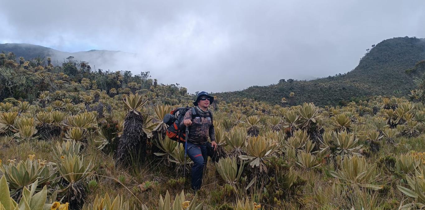 PÁRAMO DEL DUENDE SIGUE SIENDO UNO DE LO MÁS CONSERVADOS EN COLOMBIA