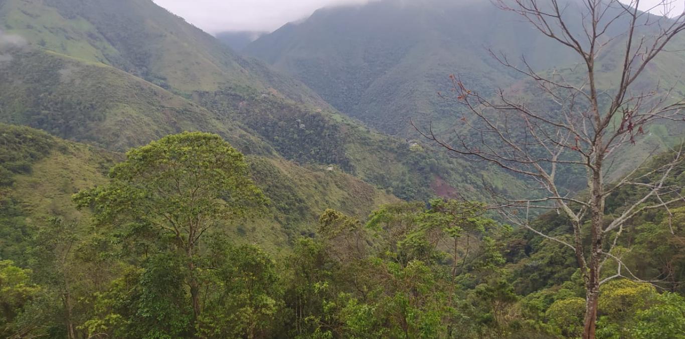 CON UNA INVERSIÓN DE 124 MILLONES, CVC Y RESGUARDO INDÍGENA CONTINUARÁN CUIDANDO EL AGUA DE FLORIDA