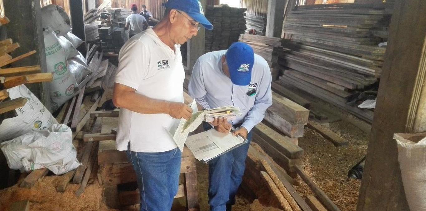 LOS VENDEDORES DE MADERA  DEL VALLE EMPEZARÁN CON EL REGISTRO DIGITAL DEL MATERIAL