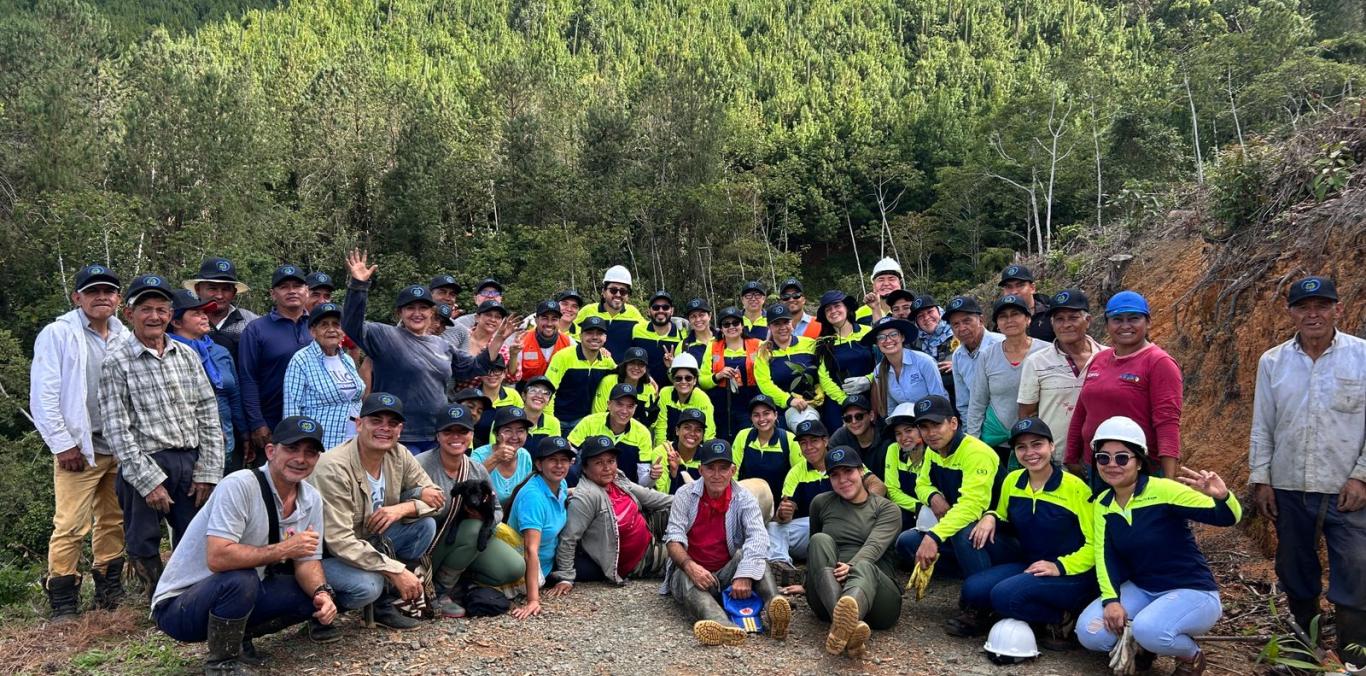 SUELOS CON VOCACIÓN FORESTAL COMERCIAL, AHORA SON DE PROTECCIÓN