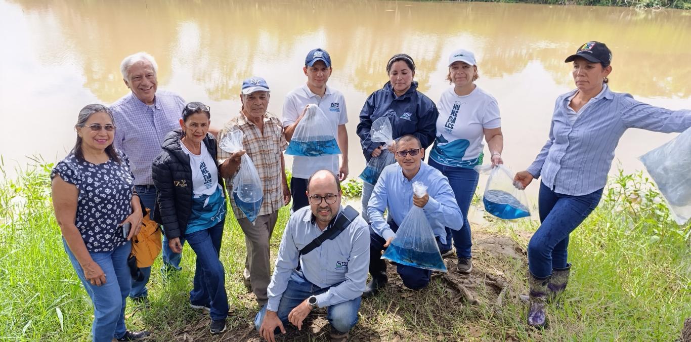 CVC REALIZÓ SIEMBRA DE 3.000 ALEVINOS DE BOCACHICO EN HUMEDALES DE BOLÍVAR, VALLE