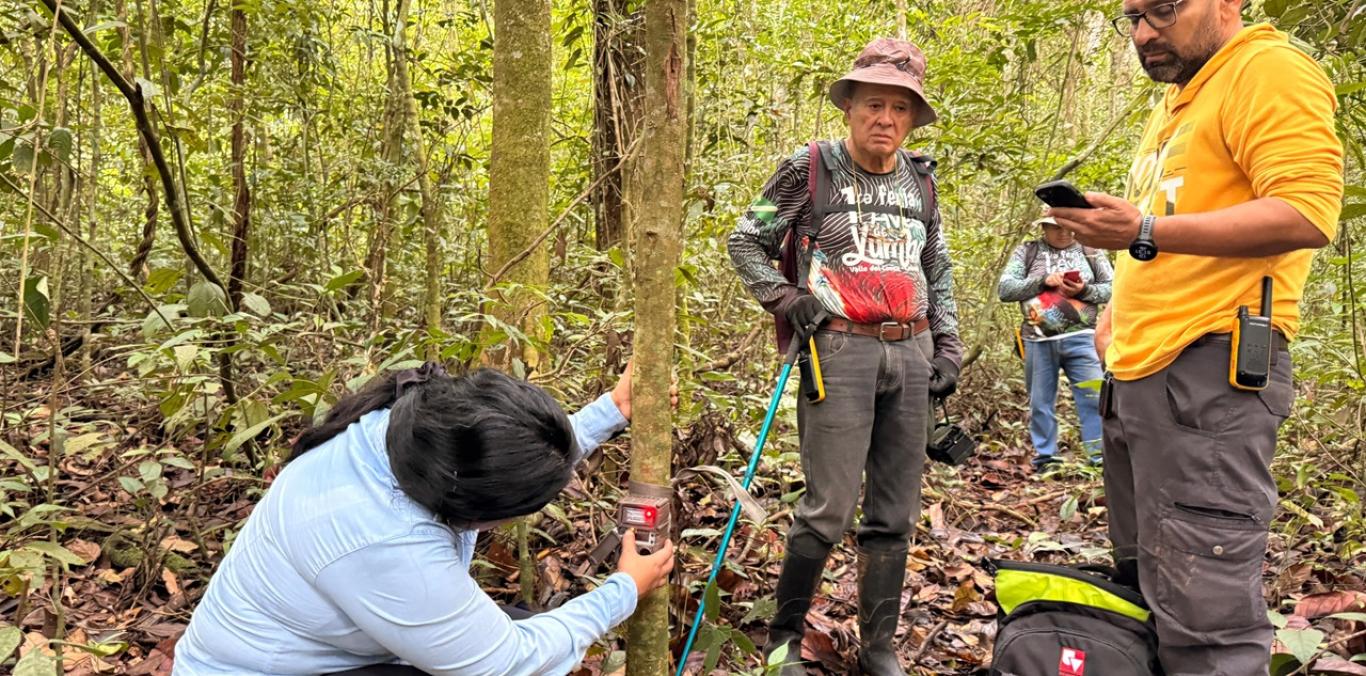 MÁS DE 100 ESPECIES DE FAUNA SILVESTRE SE HAN REGISTRADO EN PREDIO PRIVADO DE YUMBO