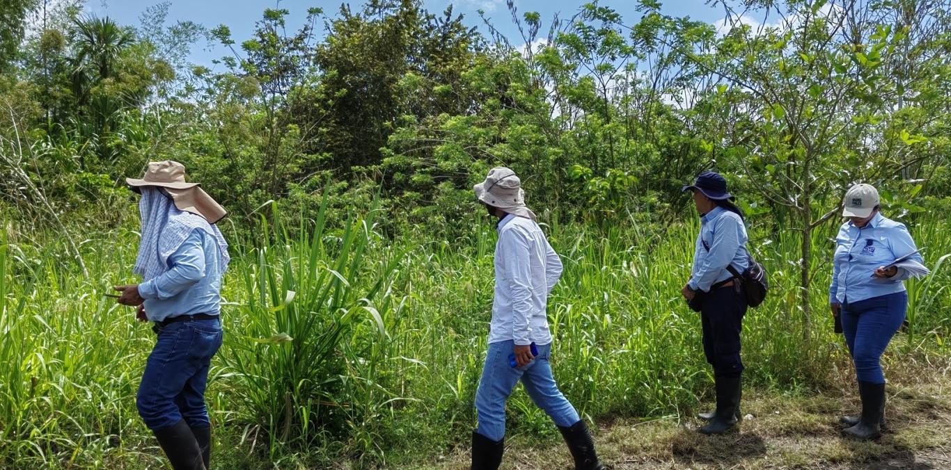 INSPECCIONAN FRANJAS FORESTALES PROTECTORAS DEL RÍO CAUCA