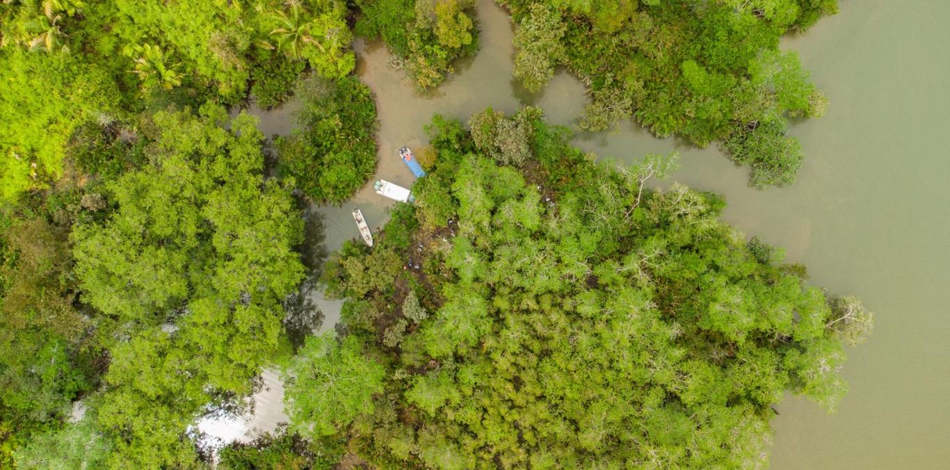 VEREDA GAMBOA, LA NUEVA ÁREA PROTEGIDA DEL VALLE: 2.469 HECTÁREAS EN EL DISTRITO ESPECIAL DE BUENAVETURA