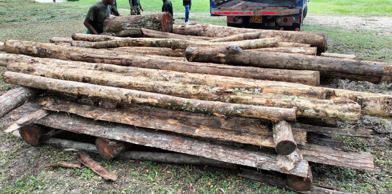 LUCHA CONTRA LOS TRAFICANTES DE MADERA: CVC DECOMISA MATERIAL ILEGAL EN CARTAGO
