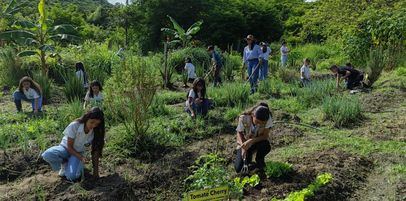 HUERTA ESCOLAR DE COLEGIO PÚBLICO EN EL DOVIO FLORECE COMO UN LABORATORIO AGROECOLÓGICO