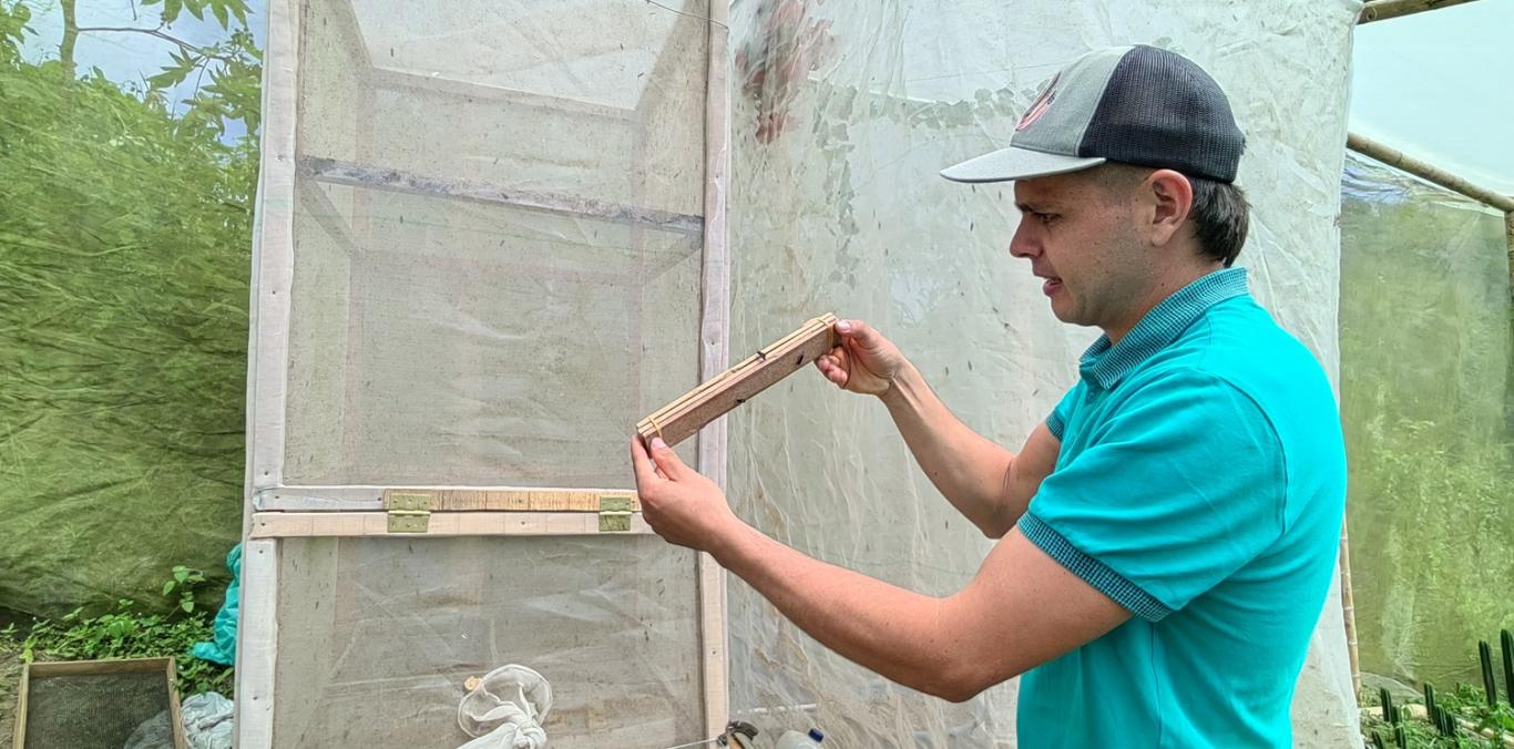 MOSCA SOLDADO NEGRA: LA ALIADA DEL RECICLAJE ORGÁNICO EN EL NORTE DEL VALLE