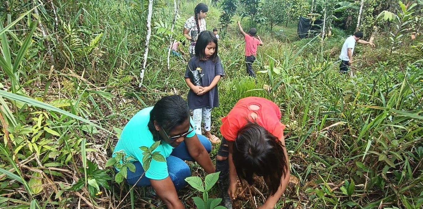 NIÑOS INDÍGENAS SE CONVIERTEN EN SEMBRADORES DE VIDA