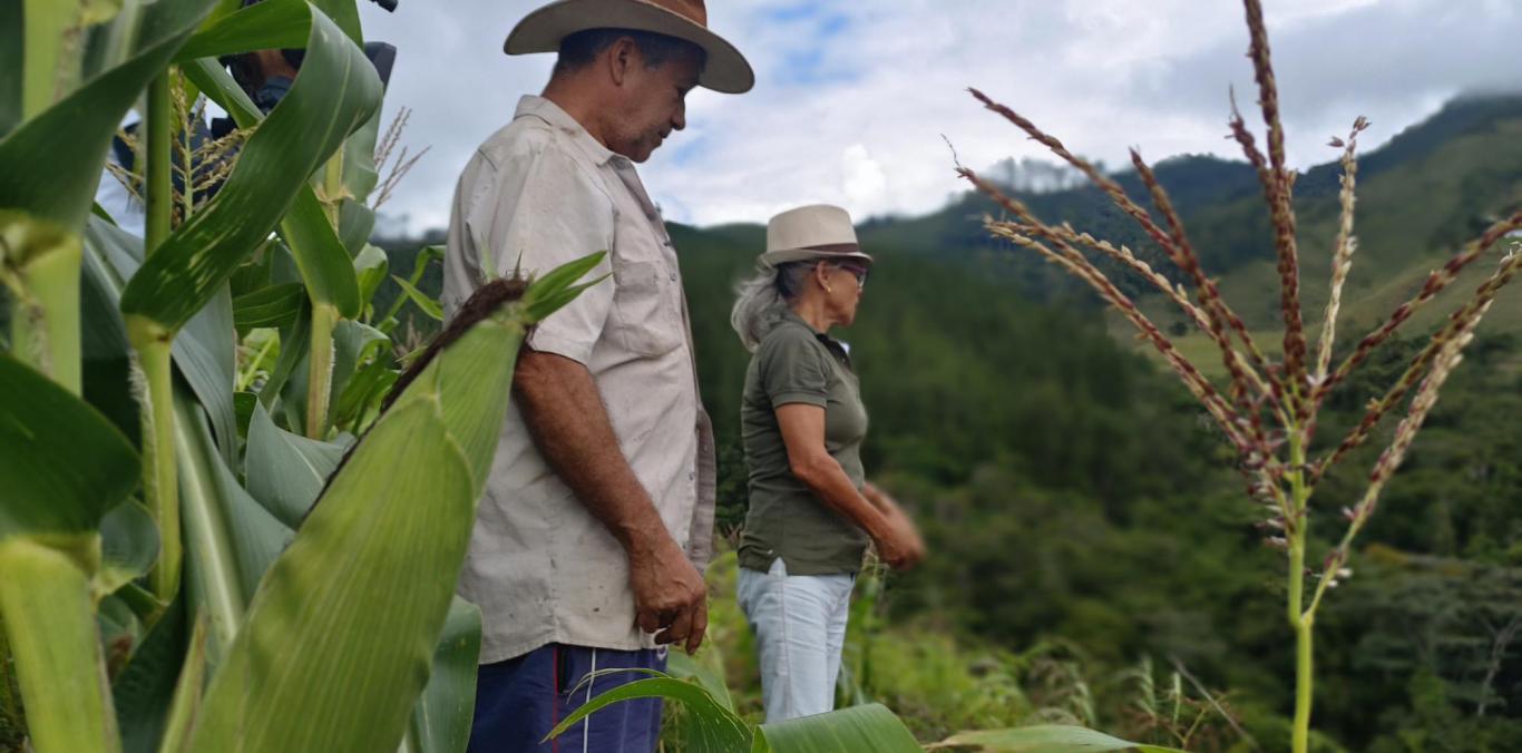 DEL CAMPO A LA MESA: CVC IMPULSA LA SOSTENIBILIDAD ALIMENTARIA EN VIJES