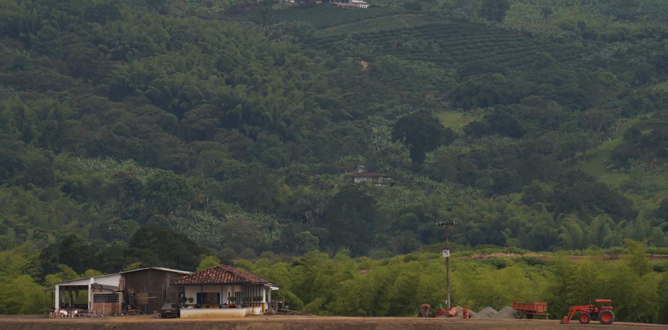ESTÁ ABIERTA LA XVI CONVOCATORIA DEL FONDO PARTICIPATIVO PARA LA ACCIÓN AMBIENTAL: INSPIRA, TRANSFORMA Y ACTÚA POR EL AMBIENTE
