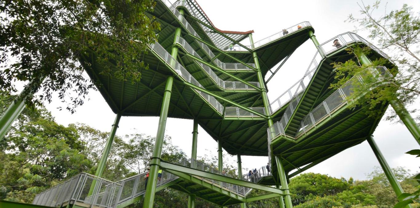 INGRESO DE PÚBLICO A LA TORRE DE AVISTAMIENTO PANCE ES COORDINADO POR RECREAVALLE