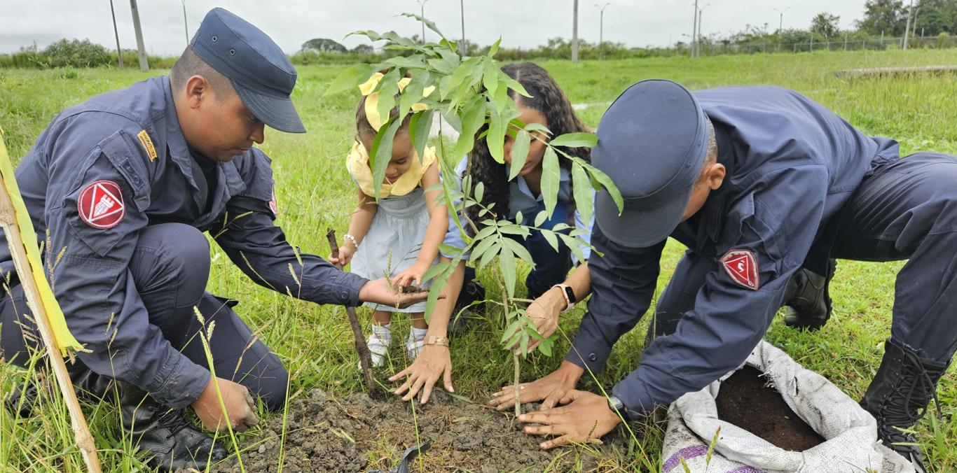 MÁS DE 15 MIL ÁRBOLES SE SEMBRARON EN EL DÍA MUNDIAL DEL ÁRBOL 