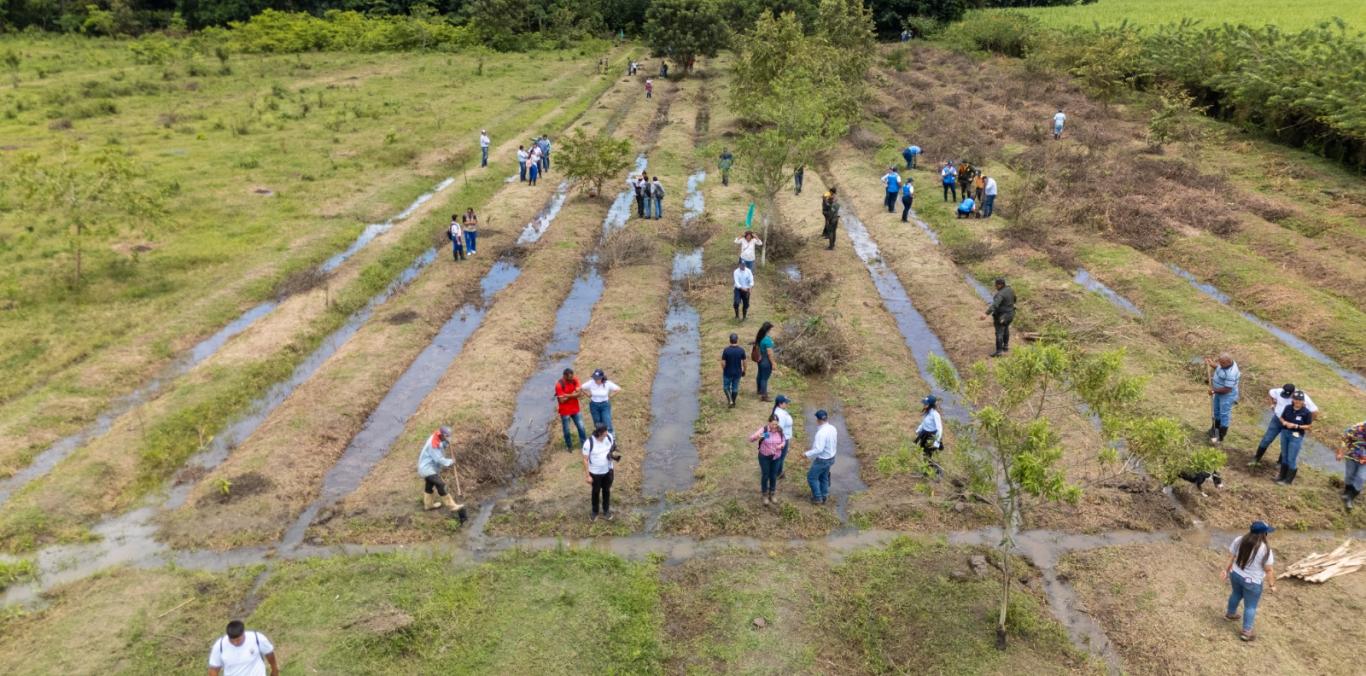 ¿LE GUSTAN LOS BOSQUES? PONGA EL TERRENO Y LA CVC LE ENTREGA LOS ÁRBOLES