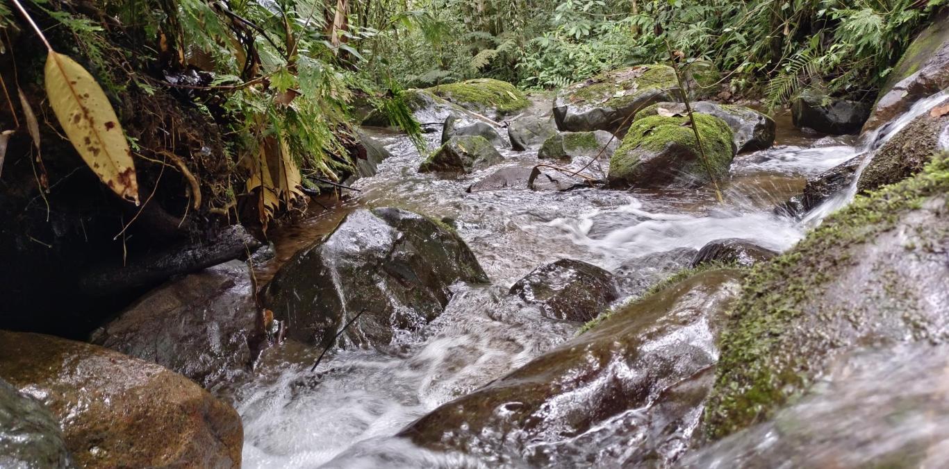 5 ACUEDUCTOS RURALES DE YOTOCO BUSCAN LEGALIZARSE CON LA CVC