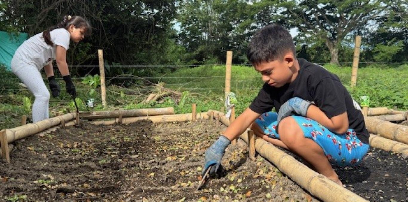 JÓVENES TRANSFORMAN ANTIGUO BOTADERO EN HUERTA COMUNITARIA, GRACIAS A INICIATIVA JUVENIL AMBIENTAL APOYADA POR LA CVC