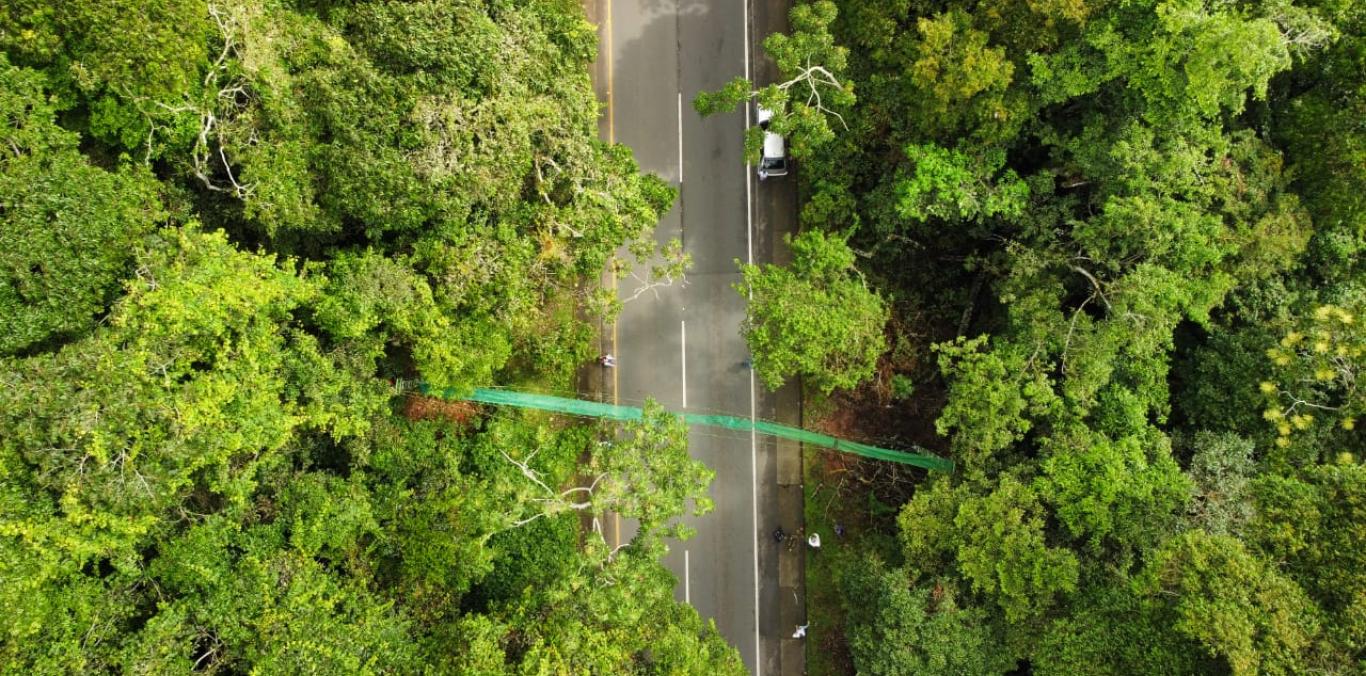 NUEVOS PASOS DE FAUNA SILVESTRE EN EL VALLE PARA DAR VÍA A LA VIDA