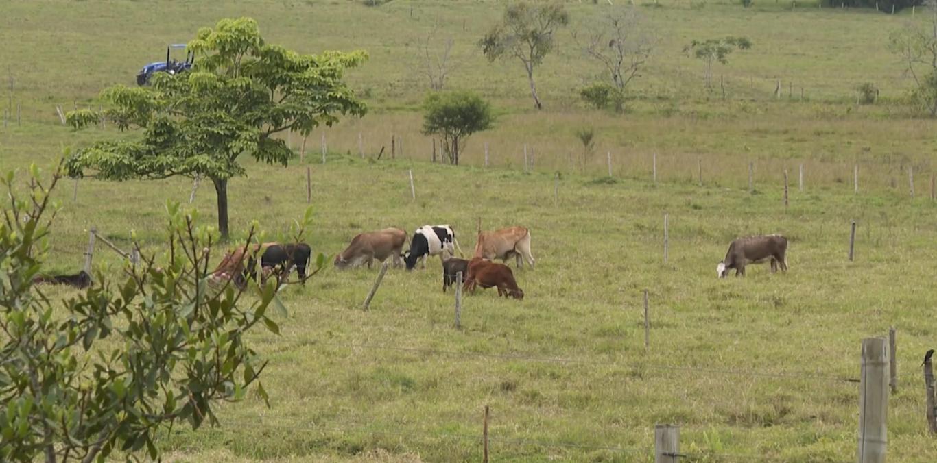 FINCA GANADERA EN YOTOCO SE CONVIERTE EN MODELO DE PROTECCIÓN DE NACIMIENTOS DE AGUA