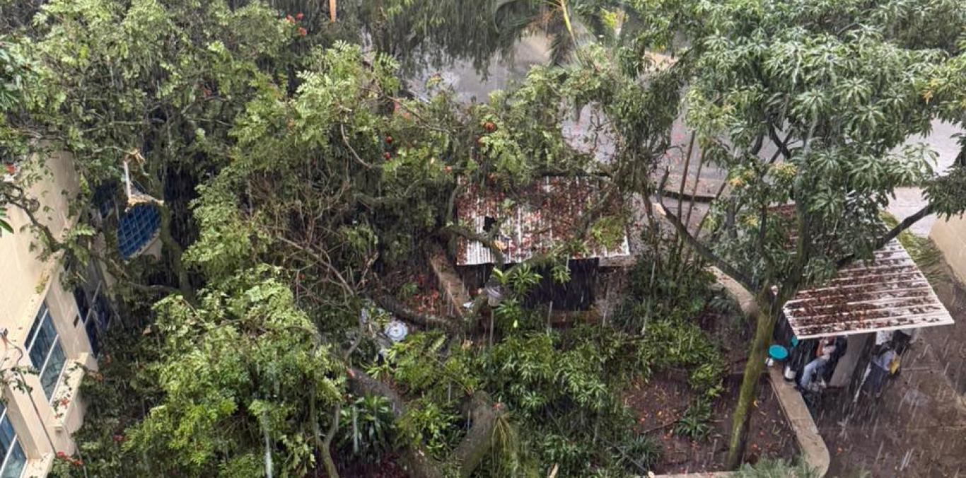 LLUVIAS EN CALI SUPERARON ESTÁNDARES INTERNACIONALES