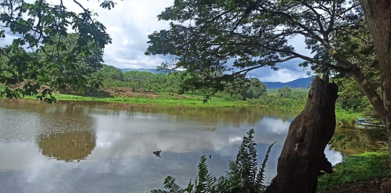 LA MADREVIEJA LA MARINA SE CONVIERTE EN EPICENTRO DE CONSERVACIÓN Y VIDA, EN EL MES DE LOS HUMEDALES