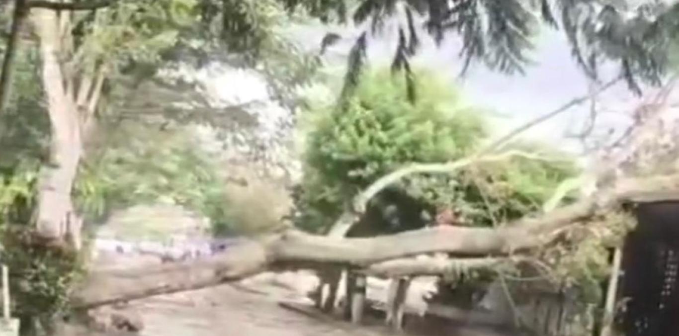 SEPA QUÉ HACER ANTE LAS CONSECUENCIAS NATURALES QUE DEJAN LAS LLUVIAS