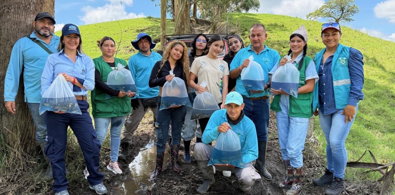 SIEMBRA DE 3.000 ALEVINOS DE BOCACHICO FORTALECE LA BIODIVERSIDAD EN CUENCAS HÍDRICAS DEL NORTE DEL VALLE