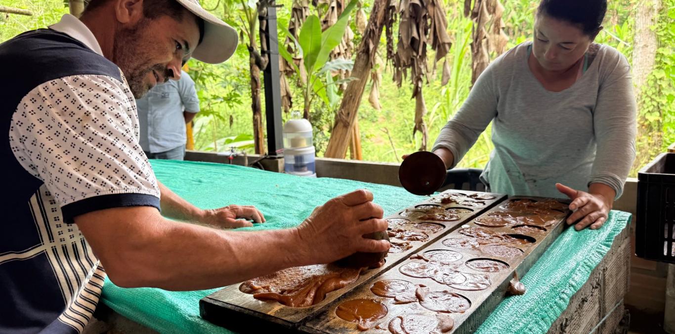 PANELA LIMPIA Y DESARROLLO RURAL: ASÍ SE TRANSFORMA UN TRAPICHE EN EL NORTE DEL VALLE