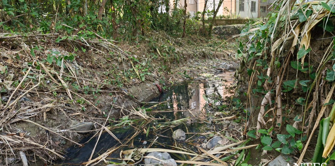 OBRAS DE MITIGACIÓN EN LA QUEBRADA EL BOSQUE HAN RESPONDIDO CON ÉXITO A LAS LLUVIAS
