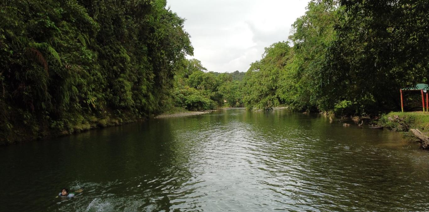 ¿QUÉ ESTÁ PASANDO CON EL CLIMA?