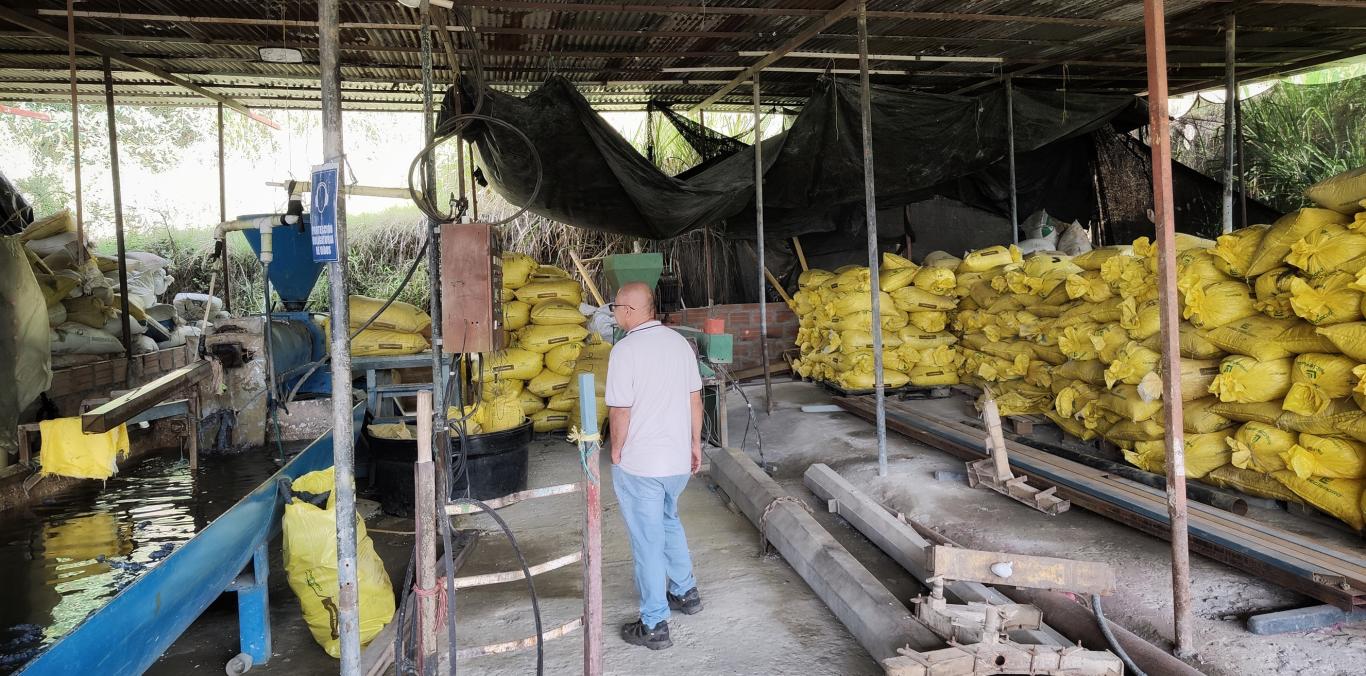 MADERAS PLÁSTICAS ECOLÓGICAS: EL NEGOCIO VERDE QUE TRANSFORMA 100 TONELADAS DE RESIDUOS AL MES