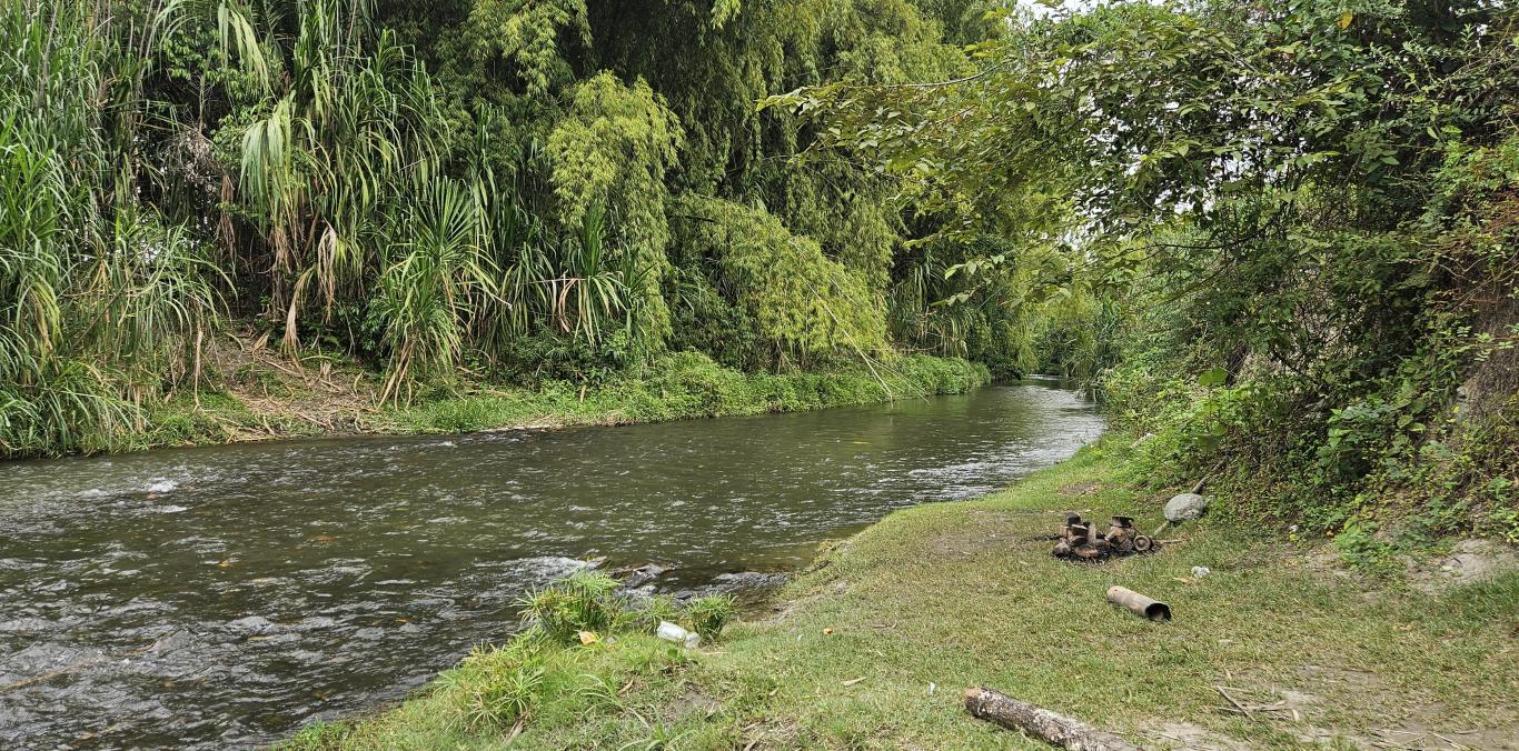 PROYECTO COMUNITARIO BUSCA CONSERVAR EL RÍO BOLO