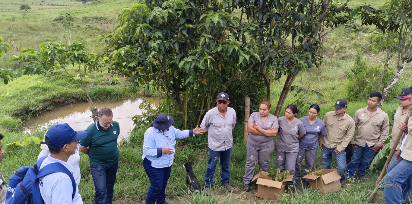 EN ZONA RURAL DE YOTOCO, SE REALIZÓ SIEMBRA DE ÁRBOLES, ENMARCADA EN LA LEY DE ÁREAS DE VIDA