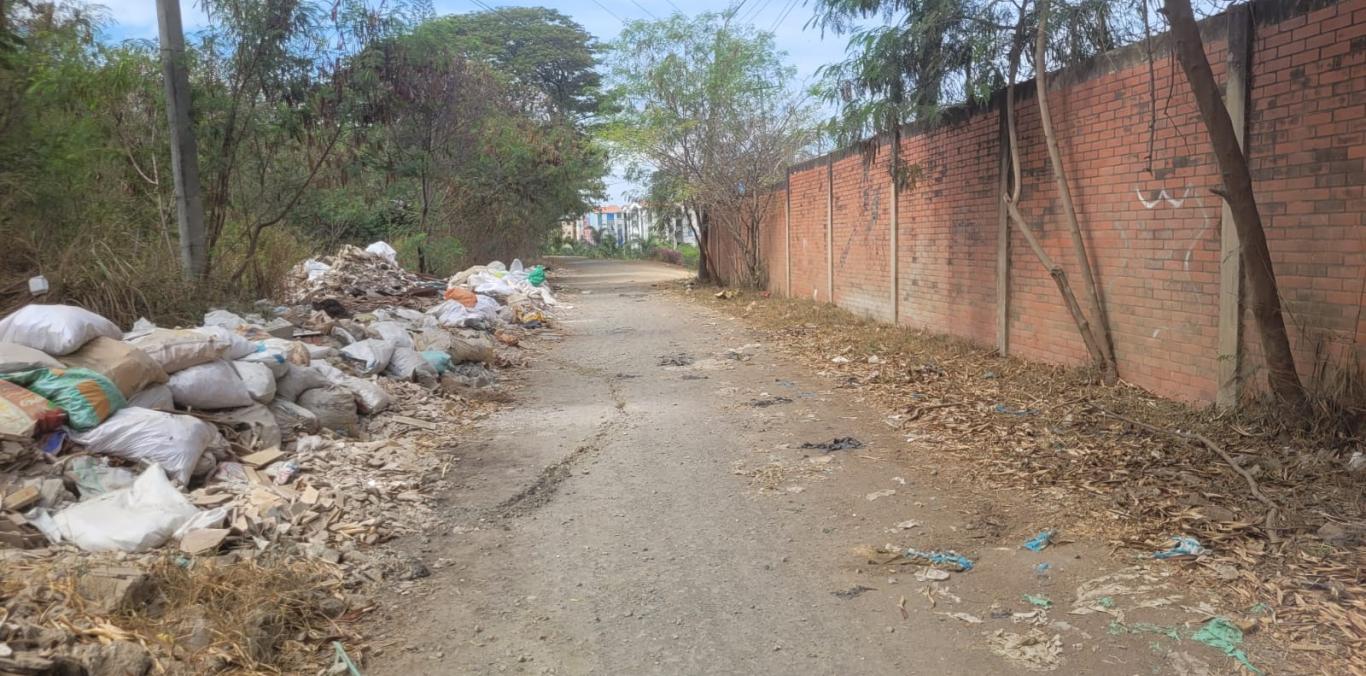 JARILLÓN DEL RÍO CAUCA MANTIENE SU INTEGRIDAD TRAS EL TERREMOTO REGISTRADO EN CALI