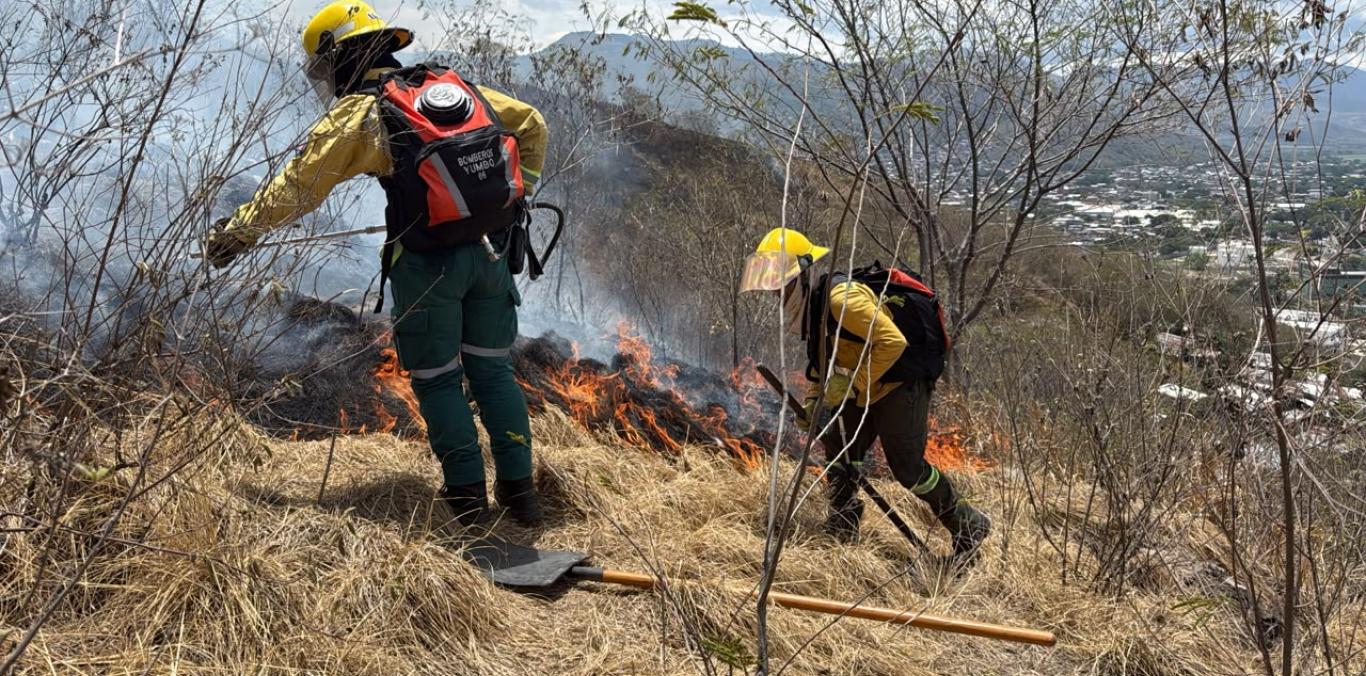 LA CVC REPORTA CERCA DE 50 INCENDIOS FORESTALES EN 21 MUNICIPIOS DEL VALLE DEL CAUCA