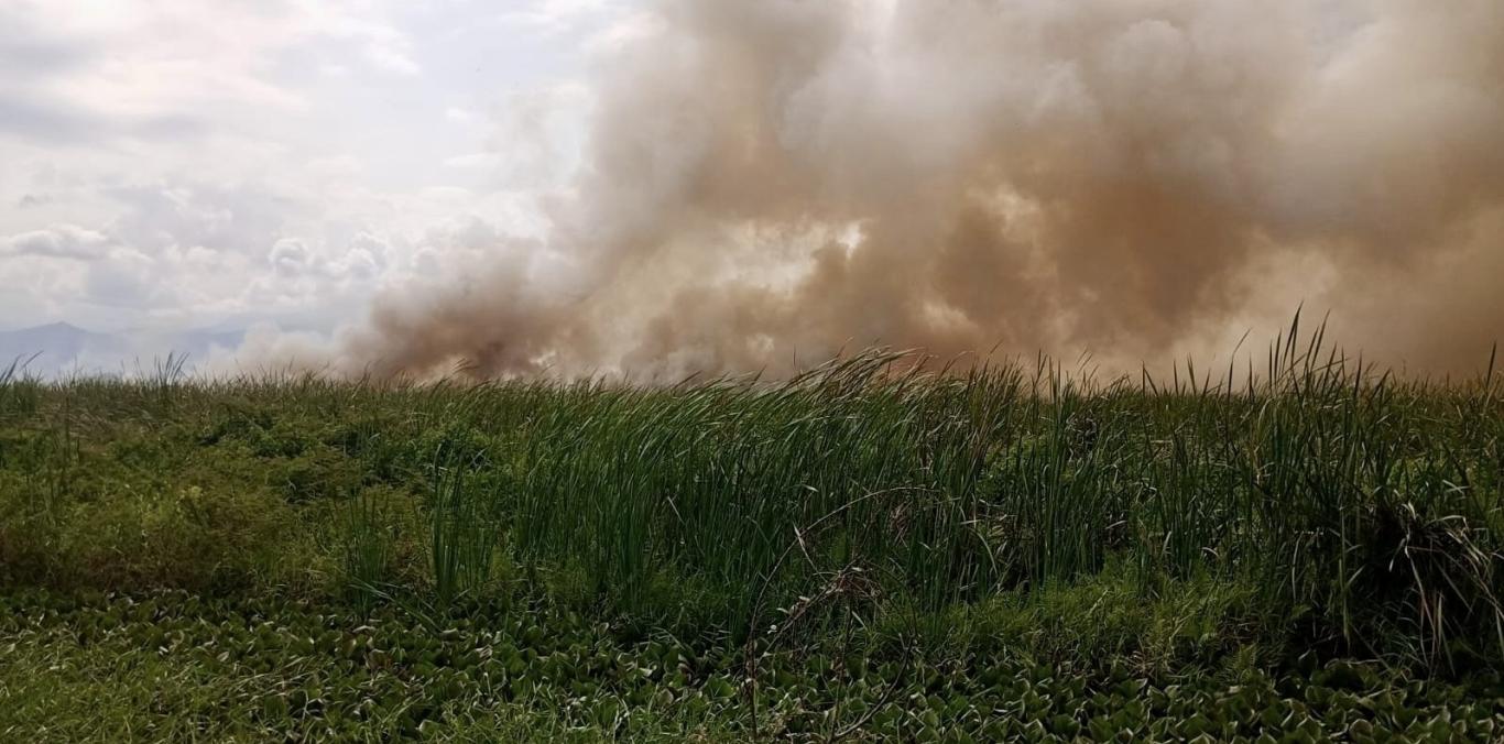INCENDIO GOLPEÓ DIRECTAMENTE AL HUMEDAL TIACUANTE