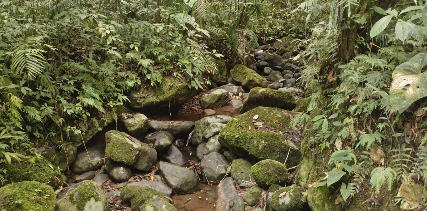 CVC HACE UN LLAMADO A CUIDAR EL AGUA Y A LA PREVENCIÓN DE INCENDIOS FORESTALES