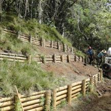 DOS INCENDIOS FORESTALES SE PRESENTARON EN RESTREPO
