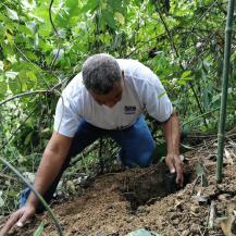 CON SIEMBRA DE PLÁNTULAS EN TULUÁ INICIÓ CONMEMORACIÓN DEL DÍA DEL ÁRBOL