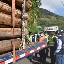 AVANZA OPERATIVO NACIONAL PARA COMBATIR EL TRÁFICO DE FAUNA Y FLORA SILVESTRE