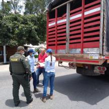 REALIZARON OPERATIVOS SIMULTÁNEOS CONTRA TRÁFICO DE FAUNA Y FLORA