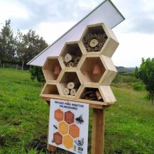 CONSTRUYEN 'HOTELES' PARA ABEJAS EN EL VALLE DEL CAUCA