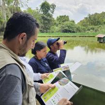 DESARROLLAMOS GUÍA DE AVES DE LA VEREDA SAN EMIGDIO, EN PALMIRA  