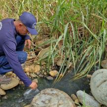 VERTIMIENTO FINAL DE LA PTAR DE ASOVORÁGINE CUMPLE CON LOS LÍMITES ESTABLECIDOS EN NORMATIVIDAD AMBIENTAL  