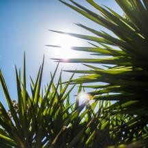 EN EL VALLE DEL CAUCA SE REGISTRÓ LA TEMPERATURA MÁS ALTA DE SU HISTORIA