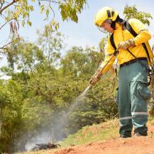 CVC CONTRIBUYE EN LA FINANCIACIÓN DE LOS BOMBEROS DEL VALLE DEL CAUCA