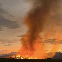 INCENDIO EN CULTIVOS DE CAÑA EN ZANJÓN HONDO:  NO HABÍA PLAN EMERGENCIA